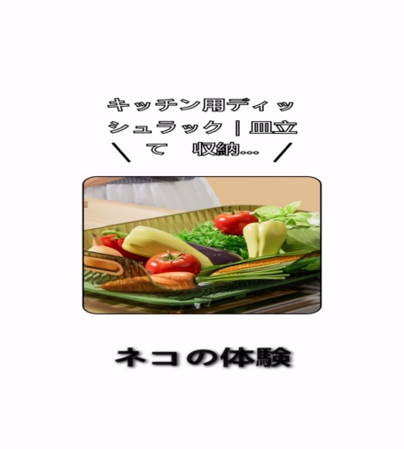 実物検証