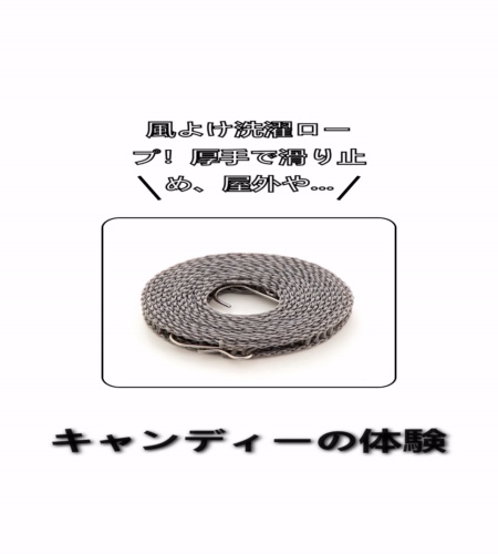実物検証