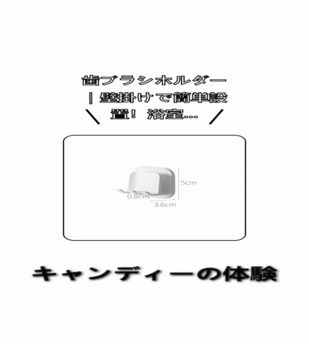 実物検証