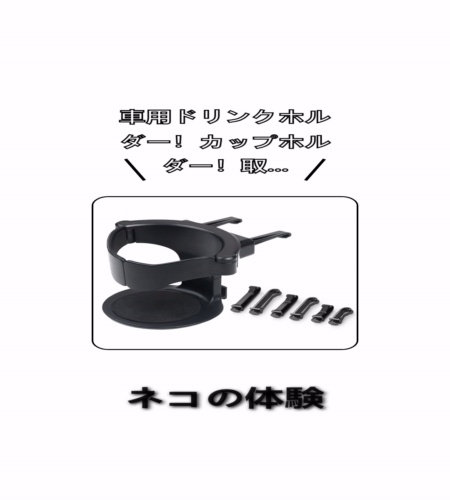 実物検証