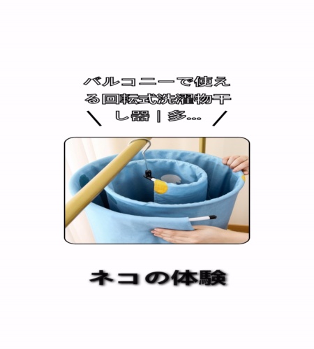 実物検証