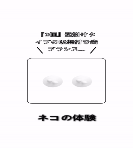 実物検証