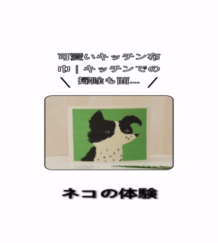 実物検証