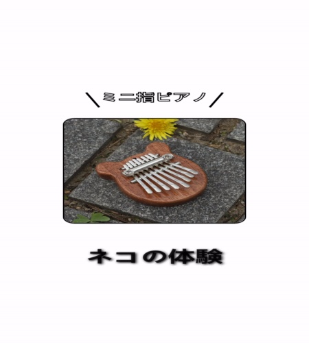 実物検証