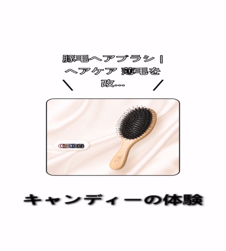 実物検証