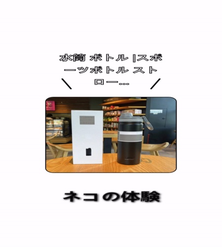 実物検証
