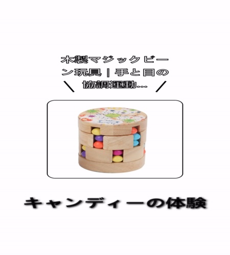 実物検証