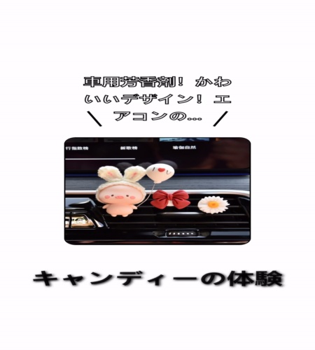 実物検証
