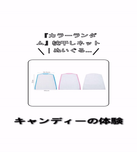 実物検証