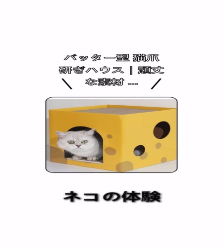 実物検証