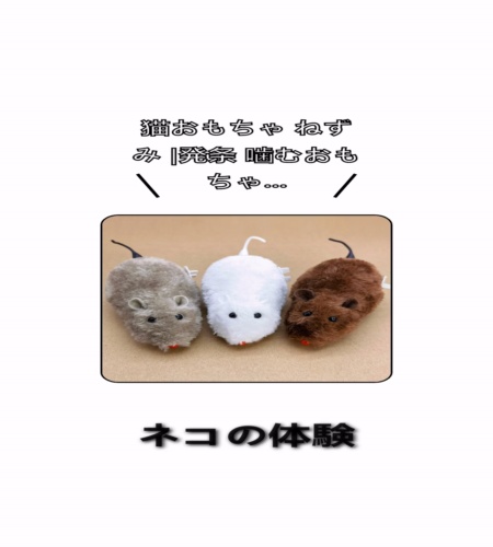 実物検証