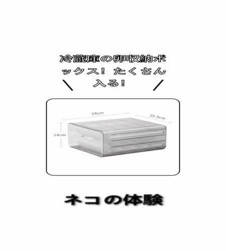実物検証
