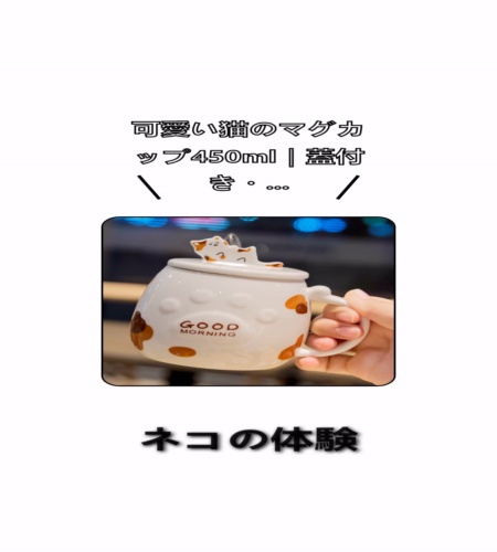 実物検証