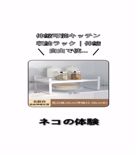 実物検証