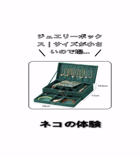 実物検証