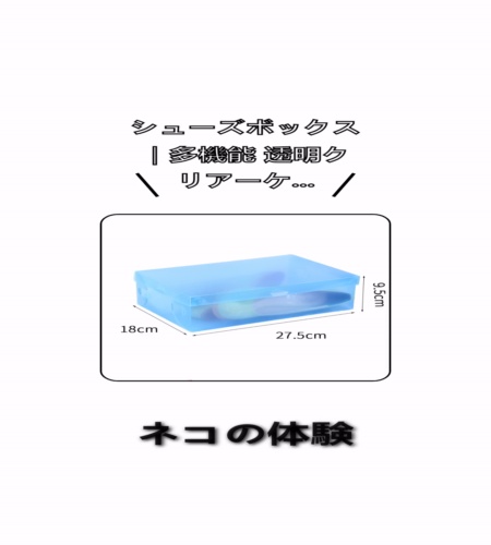 実物検証
