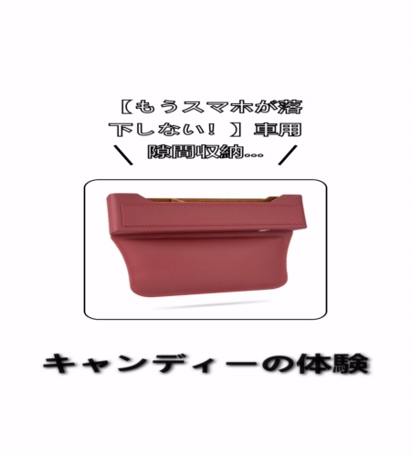 実物検証