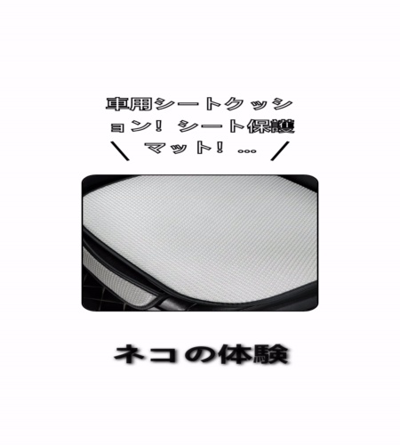 実物検証