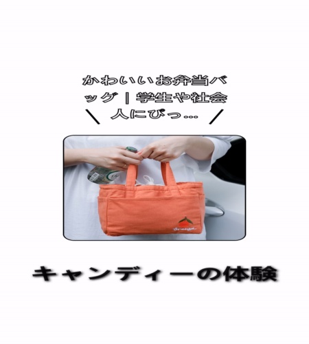 実物検証