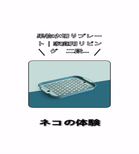 実物検証