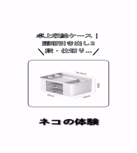 実物検証