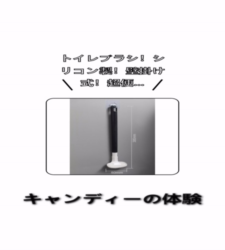 実物検証