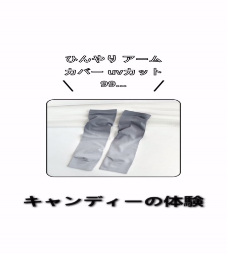 実物検証