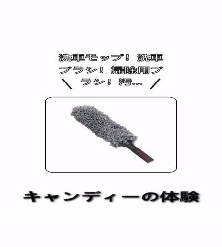実物検証