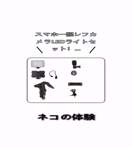 実物検証