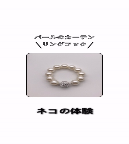 実物検証