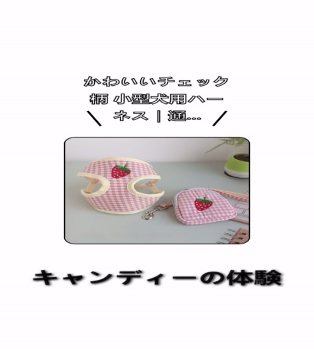 実物検証