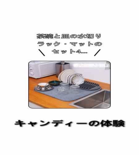 実物検証