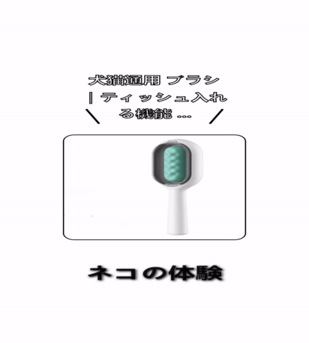 実物検証