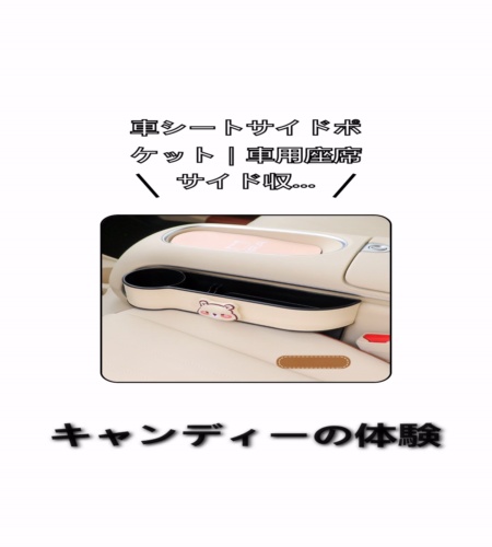 実物検証