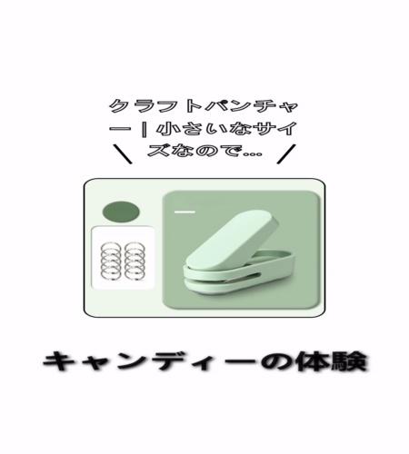 実物検証