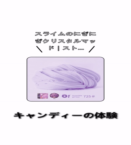 実物検証