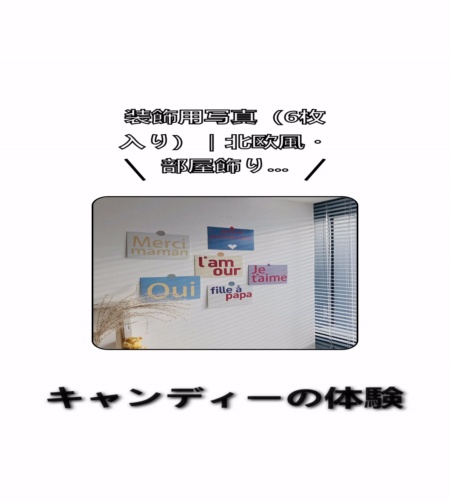 実物検証