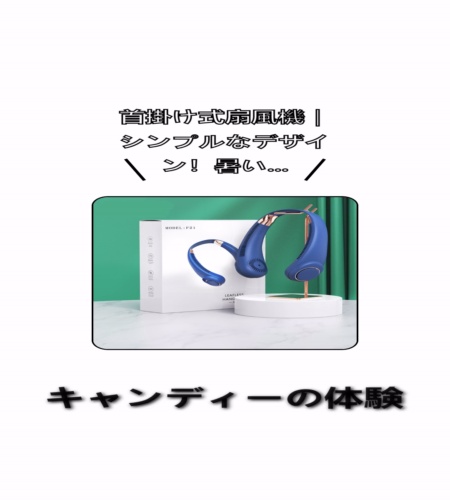 実物検証