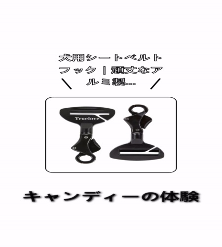実物検証