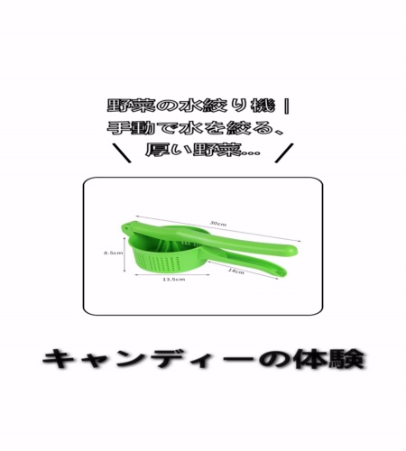 実物検証