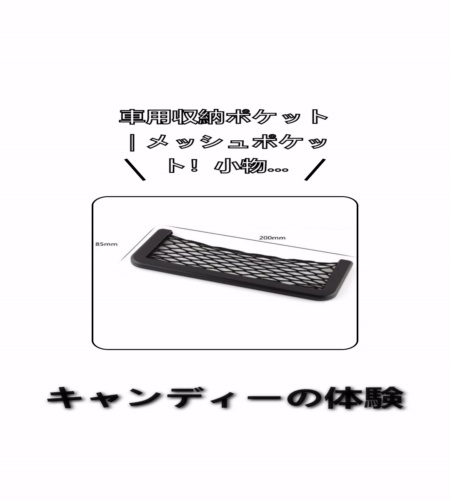 実物検証