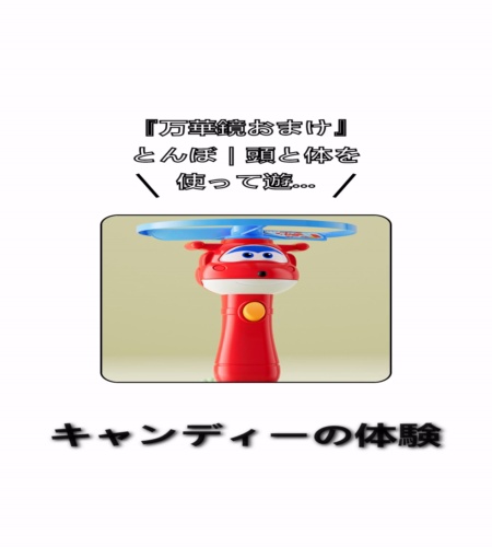 実物検証