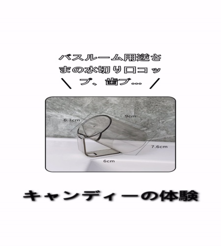 実物検証
