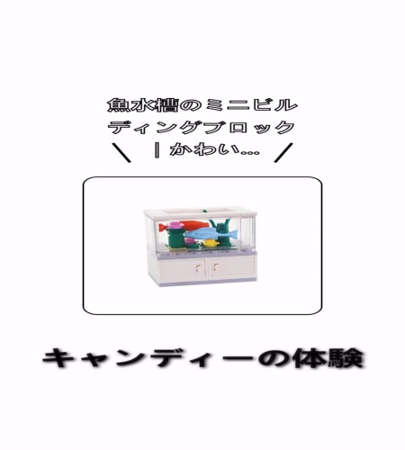 実物検証
