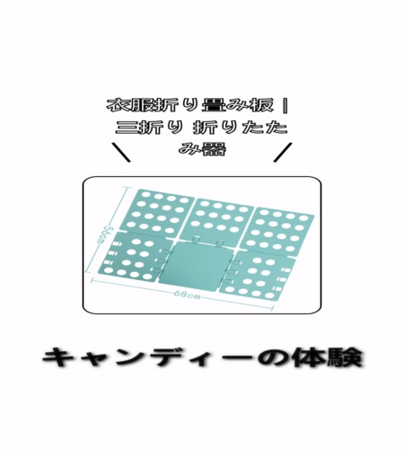 実物検証
