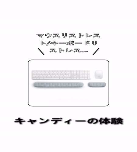 実物検証