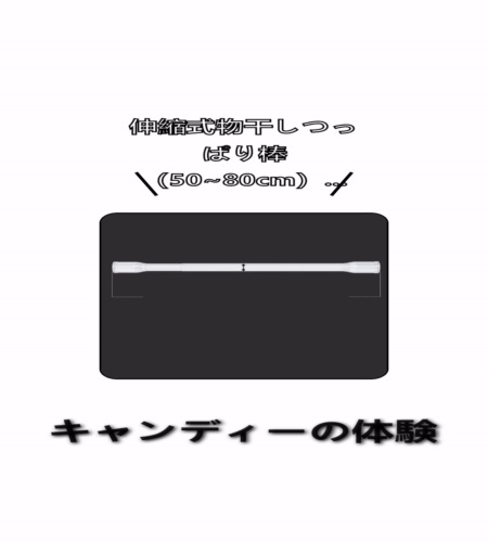 実物検証