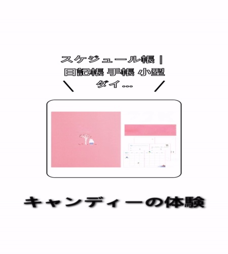 実物検証