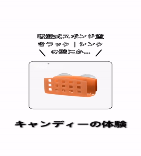 実物検証