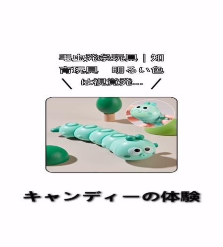 実物検証
